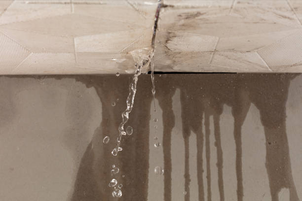 Professional Water Damage Repair technician working in Guy, TX